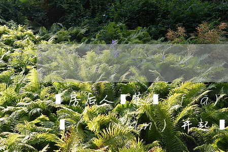 買房后“人間蒸發(fā)”，時隔12年突然出現(xiàn)并起訴賣方要求交付？法院怎么判？